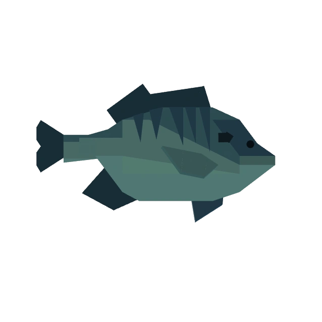 Bluegill