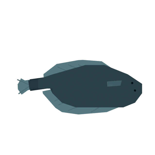 Flounder